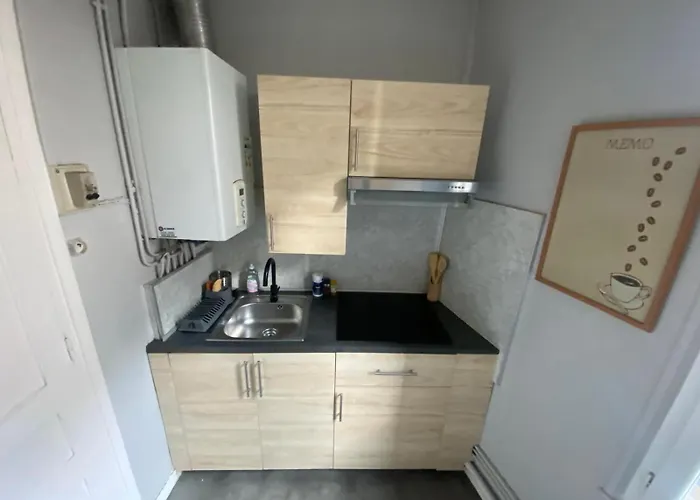 Daire Au Coeur De La Grande Place - 426